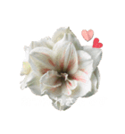 2024年6月ばあばのスタンプ（個別スタンプ：3）