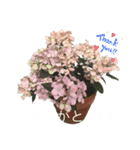2024年6月ばあばのスタンプ（個別スタンプ：4）