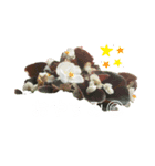 2024年6月ばあばのスタンプ（個別スタンプ：5）