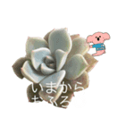 2024年6月ばあばのスタンプ（個別スタンプ：7）