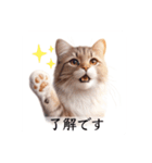 敬語で喋るAI系猫ちゃん（個別スタンプ：1）