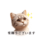 敬語で喋るAI系猫ちゃん（個別スタンプ：2）