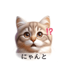 敬語で喋るAI系猫ちゃん（個別スタンプ：3）