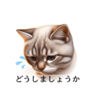 敬語で喋るAI系猫ちゃん（個別スタンプ：4）