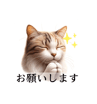 敬語で喋るAI系猫ちゃん（個別スタンプ：6）