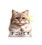 敬語で喋るAI系猫ちゃん（個別スタンプ：12）