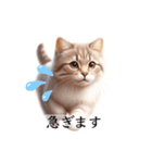 敬語で喋るAI系猫ちゃん（個別スタンプ：14）