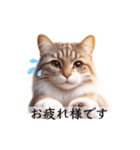 敬語で喋るAI系猫ちゃん（個別スタンプ：16）