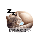 敬語で喋るAI系猫ちゃん（個別スタンプ：17）