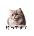 敬語で喋るAI系猫ちゃん（個別スタンプ：20）