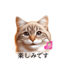 敬語で喋るAI系猫ちゃん（個別スタンプ：23）