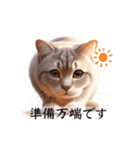 敬語で喋るAI系猫ちゃん（個別スタンプ：32）