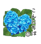 初夏の紫陽花の花 敬語/挨拶（個別スタンプ：3）