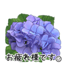 初夏の紫陽花の花 敬語/挨拶（個別スタンプ：10）