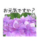 初夏の紫陽花の花 敬語/挨拶（個別スタンプ：15）