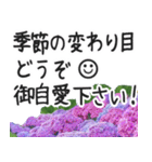 初夏の紫陽花の花 敬語/挨拶（個別スタンプ：20）