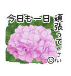 初夏の紫陽花の花 敬語/挨拶（個別スタンプ：21）