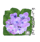 初夏の紫陽花の花 敬語/挨拶（個別スタンプ：26）