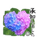 初夏の紫陽花の花 敬語/挨拶（個別スタンプ：27）