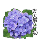 初夏の紫陽花の花 敬語/挨拶（個別スタンプ：29）