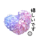 初夏の紫陽花の花 敬語/挨拶（個別スタンプ：31）