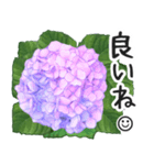 初夏の紫陽花の花 敬語/挨拶（個別スタンプ：35）