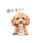 夏に使えるトイプードル子犬のスタンプ（個別スタンプ：11）