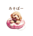 夏に使えるトイプードル子犬のスタンプ（個別スタンプ：26）