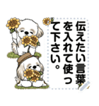 シーズー犬 『伝えたい言葉を入れてね』夏（個別スタンプ：3）