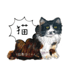 野良猫歌舞伎にゃんスタンプ（個別スタンプ：16）