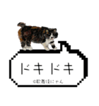 野良猫歌舞伎にゃんスタンプ（個別スタンプ：25）