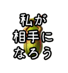 大人なウツボカズラ（個別スタンプ：14）