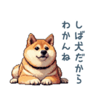 柴犬の言い訳【面白い・犬・煽り】（個別スタンプ：4）