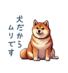 柴犬の言い訳【面白い・犬・煽り】（個別スタンプ：9）