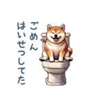 柴犬の言い訳【面白い・犬・煽り】（個別スタンプ：16）