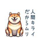 柴犬の言い訳【面白い・犬・煽り】（個別スタンプ：21）