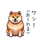 柴犬の言い訳【面白い・犬・煽り】（個別スタンプ：25）