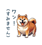 柴犬の言い訳【面白い・犬・煽り】（個別スタンプ：26）