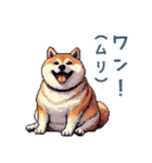 柴犬の言い訳【面白い・犬・煽り】（個別スタンプ：27）