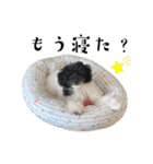 おばポジスタンプ（個別スタンプ：25）