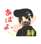 西本さんちのマヨ（個別スタンプ：13）