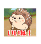 ハリネズミくんの日常☺︎（個別スタンプ：11）