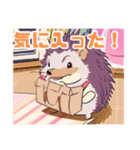 ハリネズミくんの日常☺︎（個別スタンプ：39）