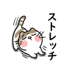 今なにしてる？【猫ちゃんVER】（個別スタンプ：27）