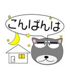 黒柴★吹き出し 大人 敬語（個別スタンプ：11）