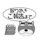 黒柴★吹き出し 大人 敬語（個別スタンプ：37）