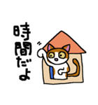 猫にゃんの気持ち（個別スタンプ：19）