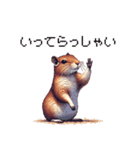 ドット絵 デグー 定番 日常会話（個別スタンプ：26）