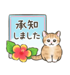 夏・毎日☆猫たちのスタンプ（個別スタンプ：4）