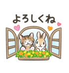 夏・毎日☆猫たちのスタンプ（個別スタンプ：9）